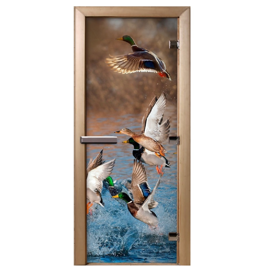 Дверь 212F с фотопечатью F286 1900х700 мм, стекло 8 мм, 3 петли, лиственная