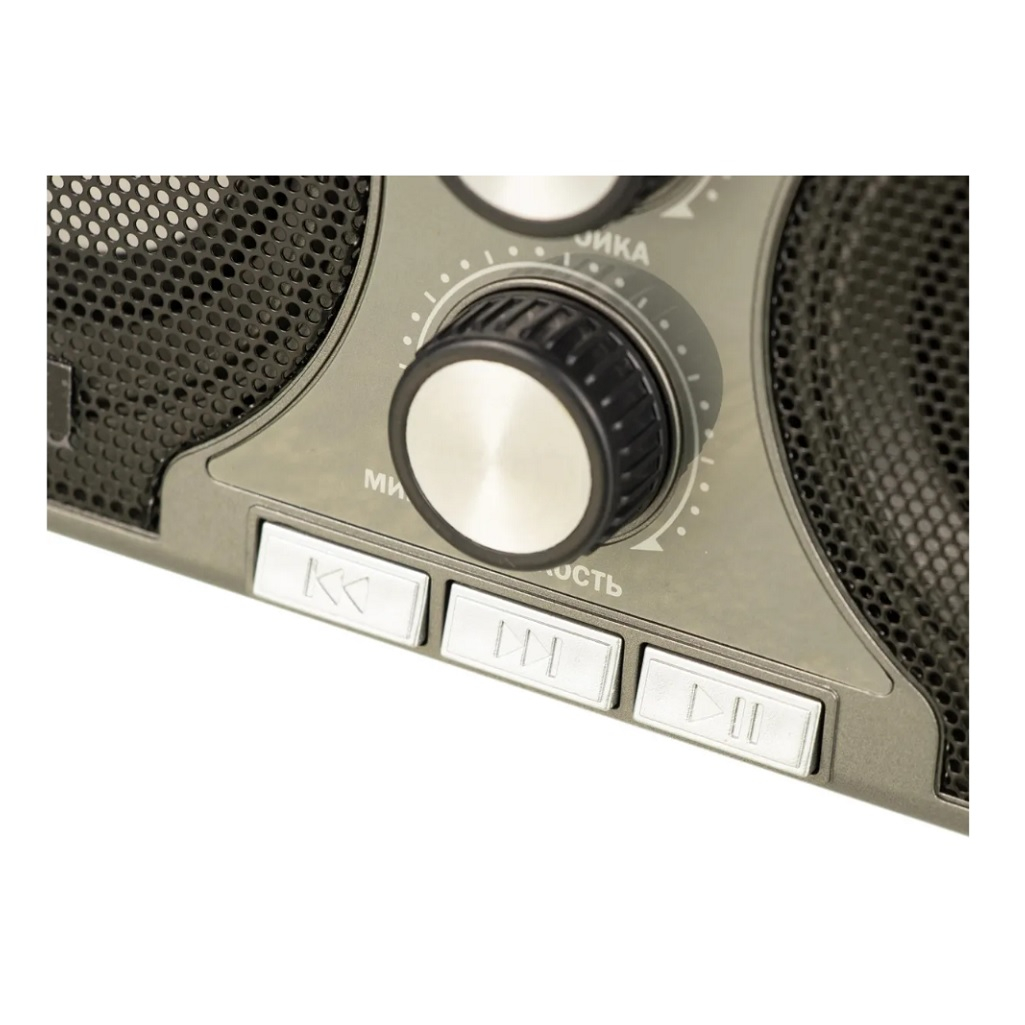 Радиоприемник переносной Сигнал БЗРП РП-306 USB SD, 2 динамика, 6 Вт, черный