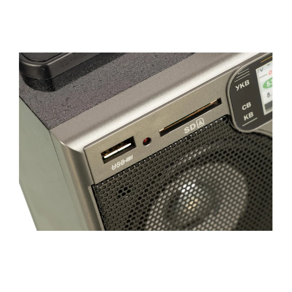 Радиоприемник переносной Сигнал БЗРП РП-306 USB SD, 2 динамика, 6 Вт, черный