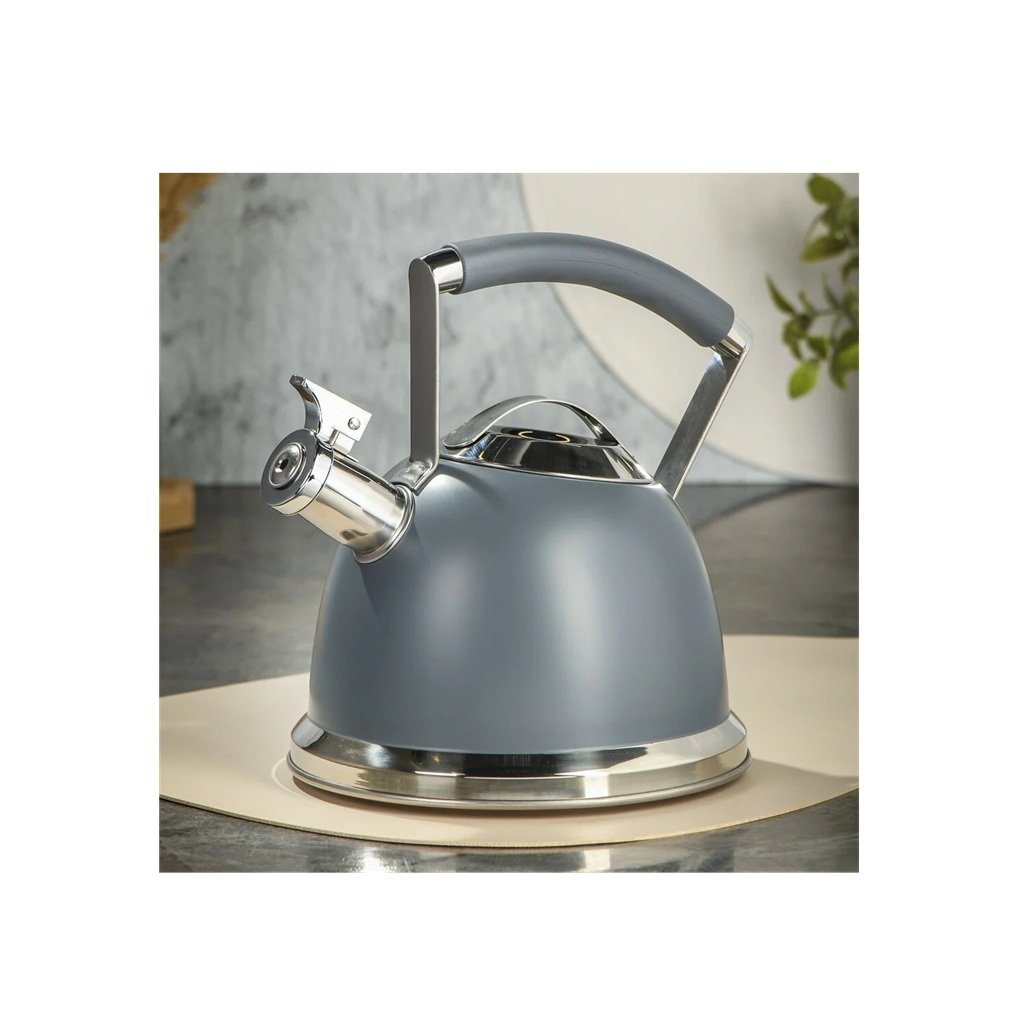 Чайник Daniks GS-04324B-1 нержавеющая сталь индукция 2.4л