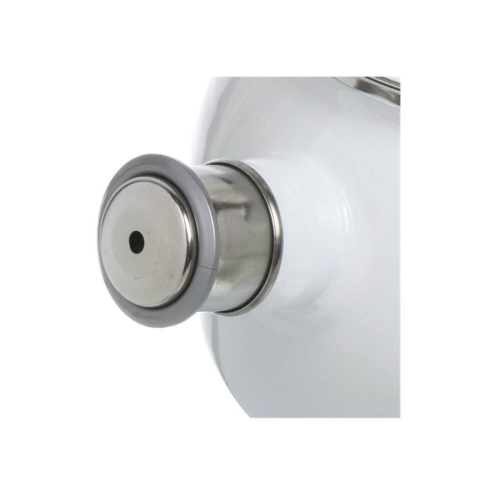 Чайник со свистком эмалированный Лысьва С-2711АП/4 Оливковая ветвь индукция, белый 2.5 л