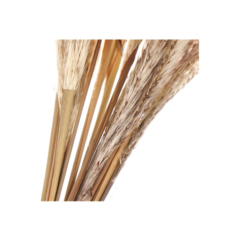 Цветок искусственный декоративный Сухоцвет 60см