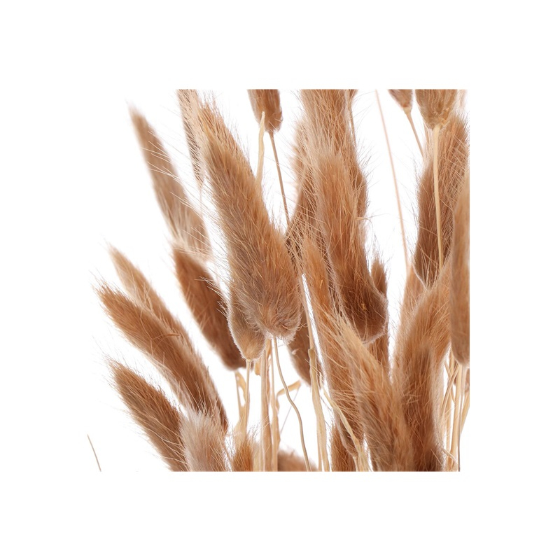 Цветок искусственный декоративный Сухоцветы, коричневый, 55см Y6-10405