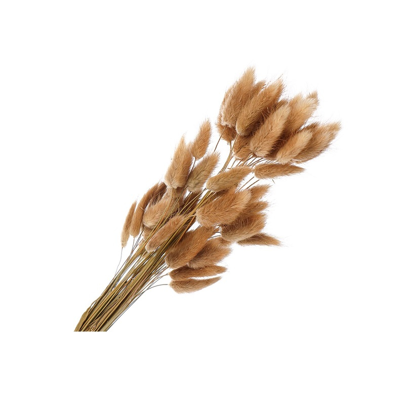 Цветок искусственный декоративный Колосья 50-60см Y4-7968
