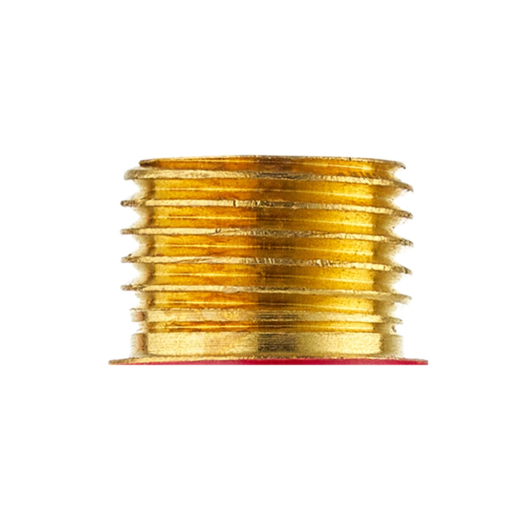 Клапан обратный Сварог КО-Г-Р/Г для предотвращения обратного потока газа, золотой