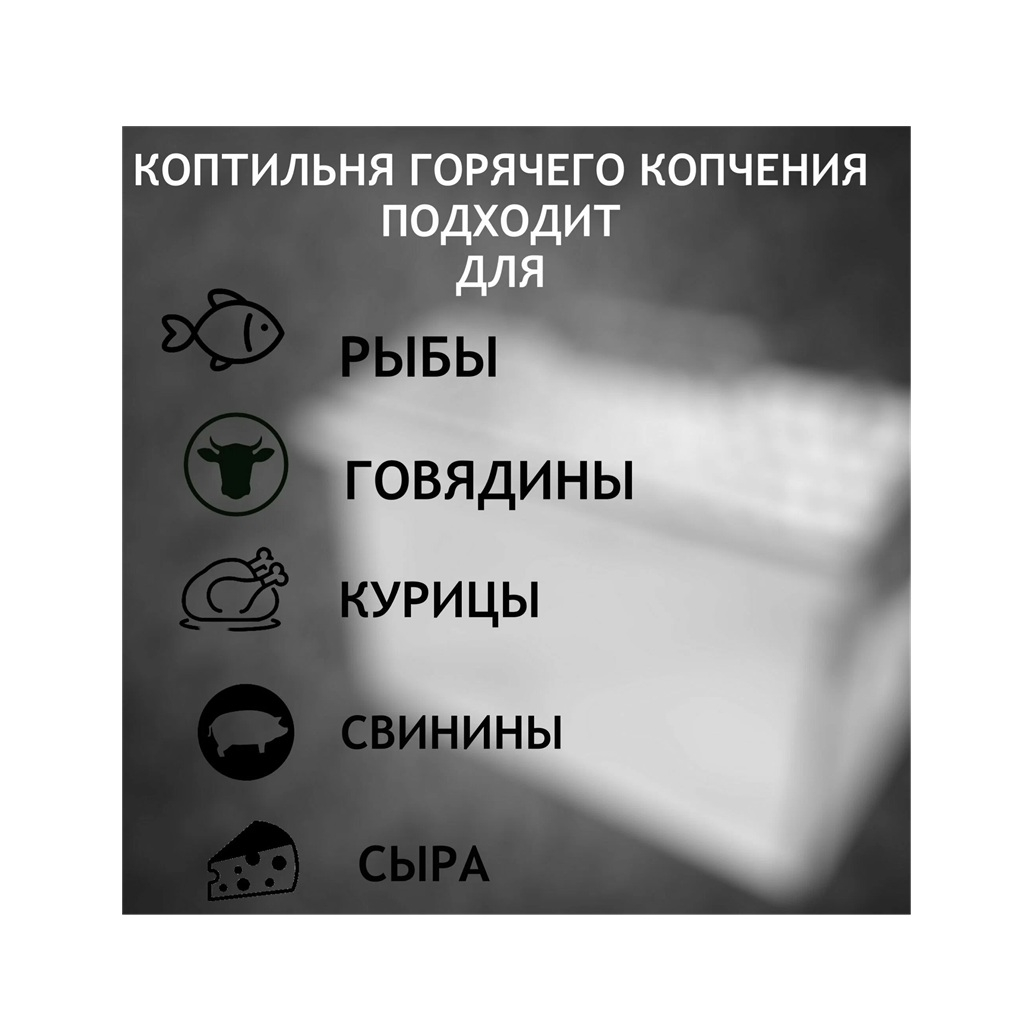 Коптильня Великан домик нержавеющая сталь 550х300х300 мм