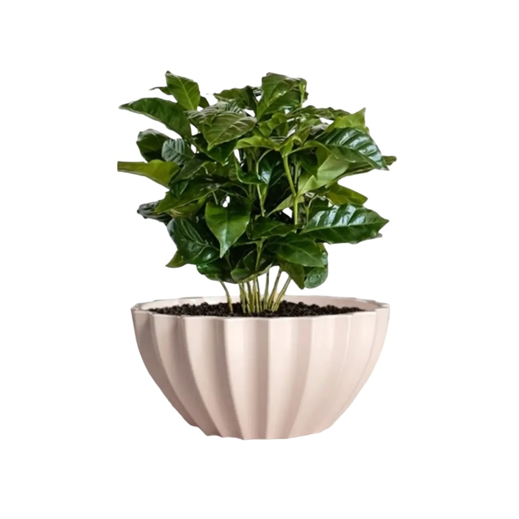 Кашпо Ракушка, 3.4 литра, пластиковое, цвет жемчуг, с прикорневым поливом