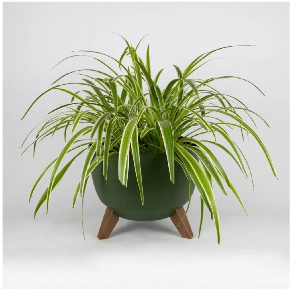 Кашпо Roma Eco 062537 recycled beton на ножках, с поддоном, до 7 кг, зеленое 23х29 см, 9.3 л