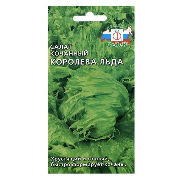 Салат кочанный Королева льда Седек 211532