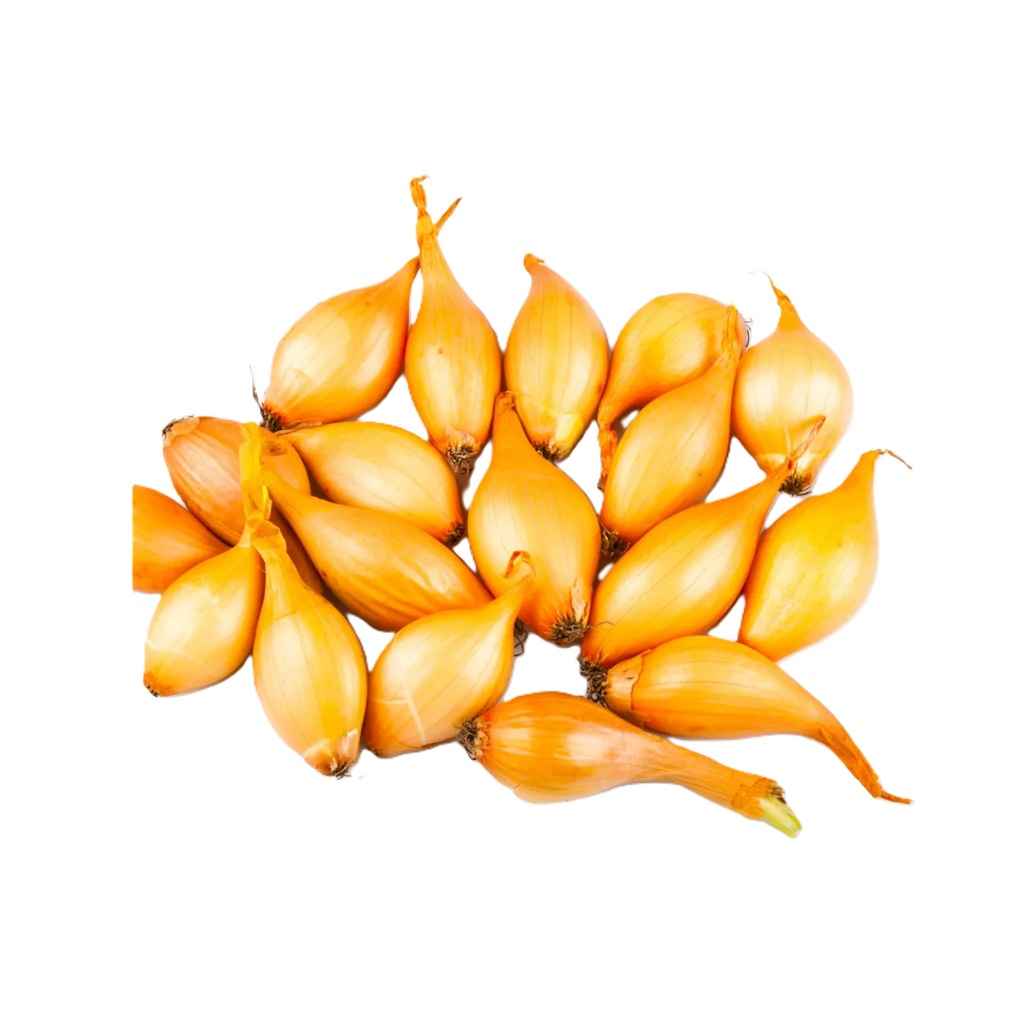 Семена Лук-севок Штуттгартер Ризен острый, 14-21 мм, желтый 0.5 кг