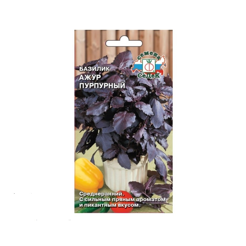 Семена Седек Базилик АЖУР ПУРПУРНЫЙ