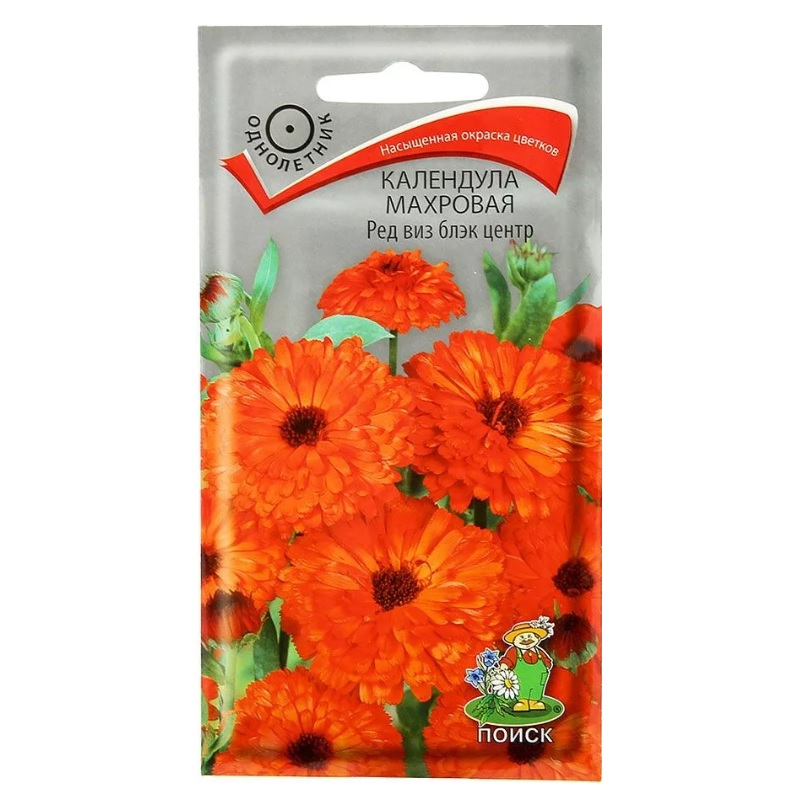 Семена цветов Календула Махровая Ред виз блэк центр Поиск, 0.4 кг