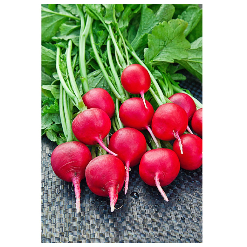 Семена Редиса Жара Аэлита для открытого грунта и теплиц, 3 гр Для огорода