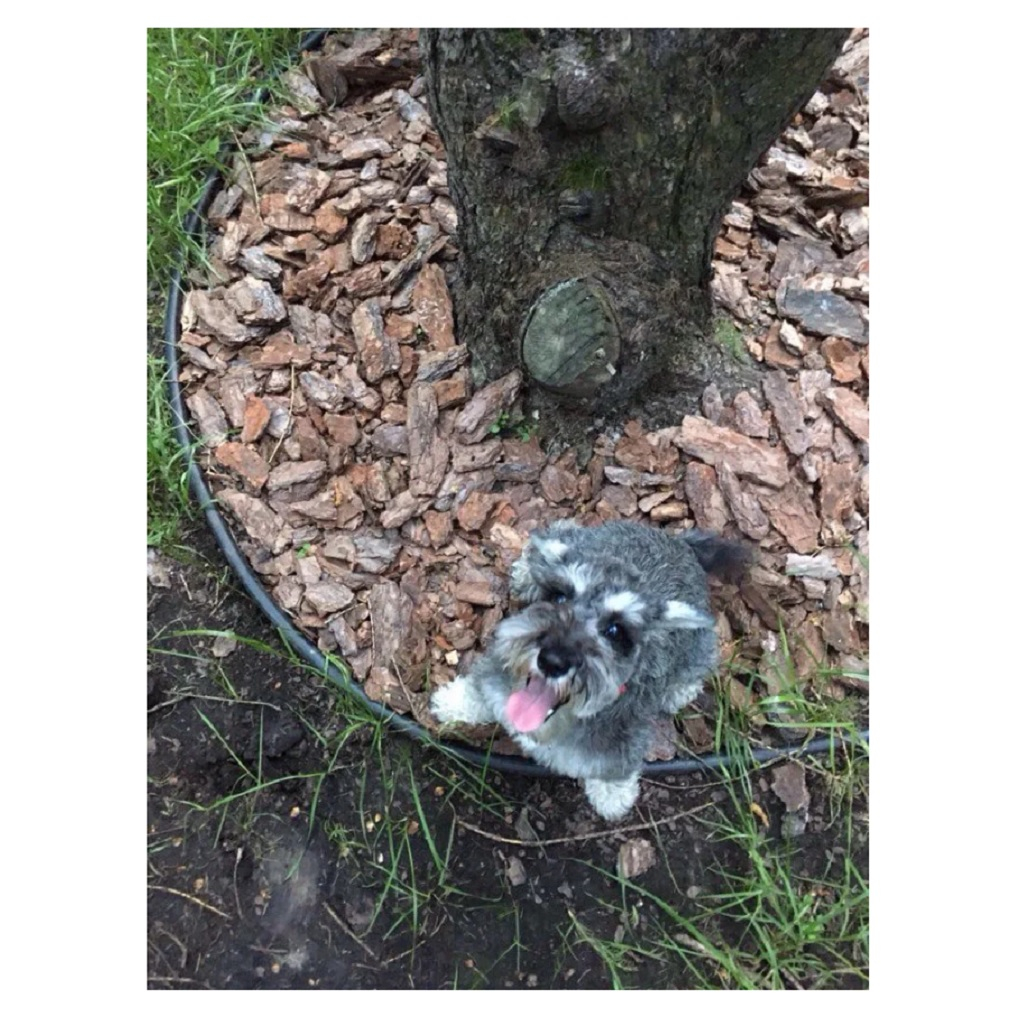 Бордюр KANTA SP 82552-Ч  пластиковый черный 