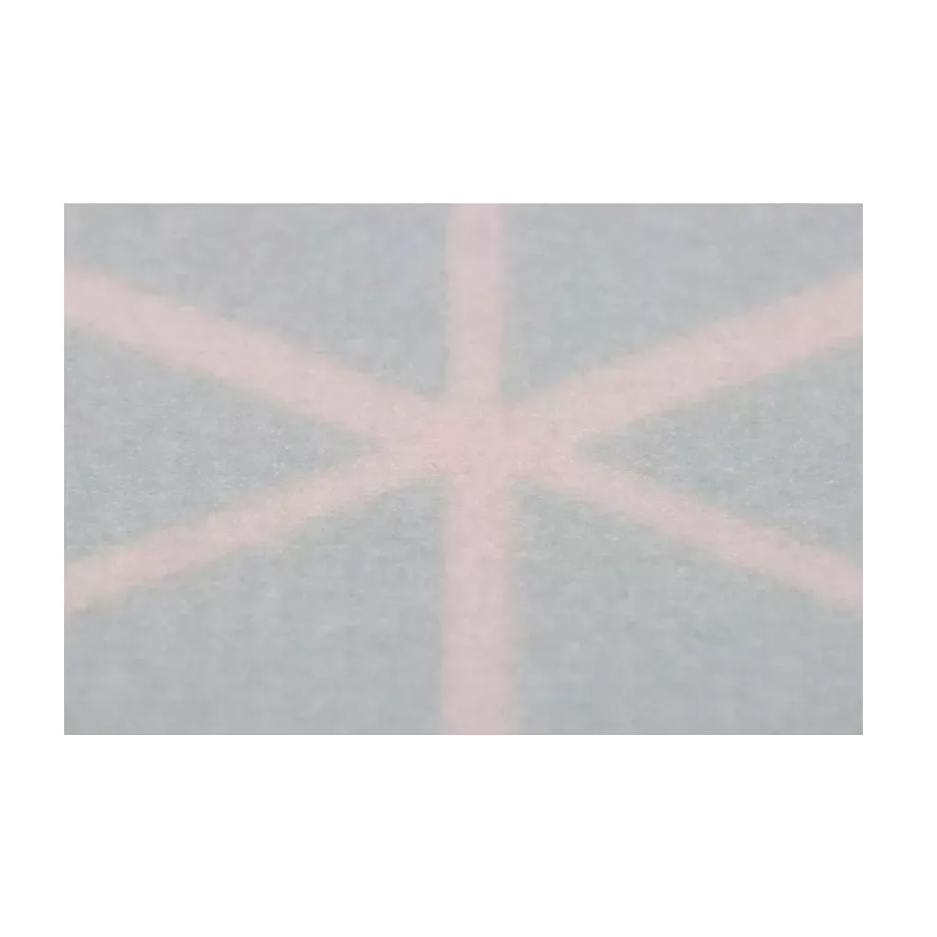 Коврик для ванной Рыжий Кот BLUE 102530, 400х600 мм, бирюзовый, полиэстер, антискользящая подложка