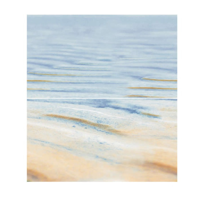 Панно Ceradim Starfish Dec 2 из 2-х шт 500x450 мм