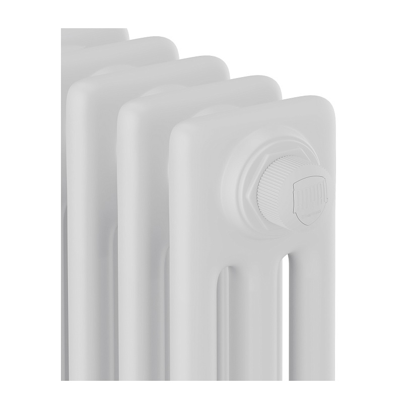 Дизайн-радиатор трубчатый Royal Thermo Insignia VC3050-10, RAL9016, сталь, 10 секций