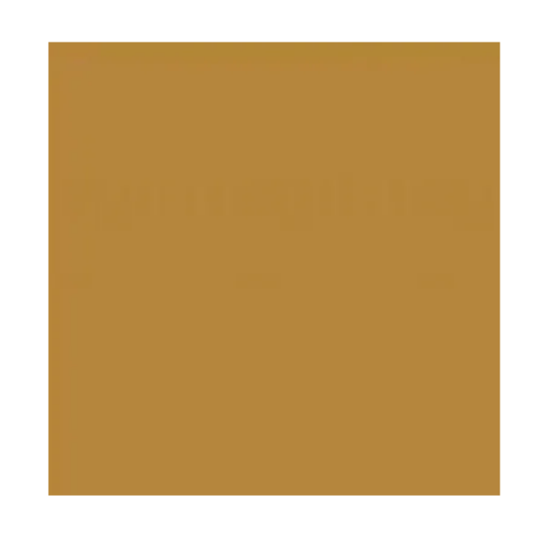 Шпатлёвка VGT ЭКСТРА по дереву лиственница 1 кг